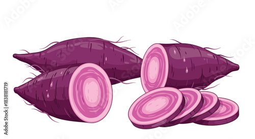 Illustrative depiction of vibrant purple sweet potatoes, showcasing whole tubers, halves, and neatly cut slices, ready for culinary use.