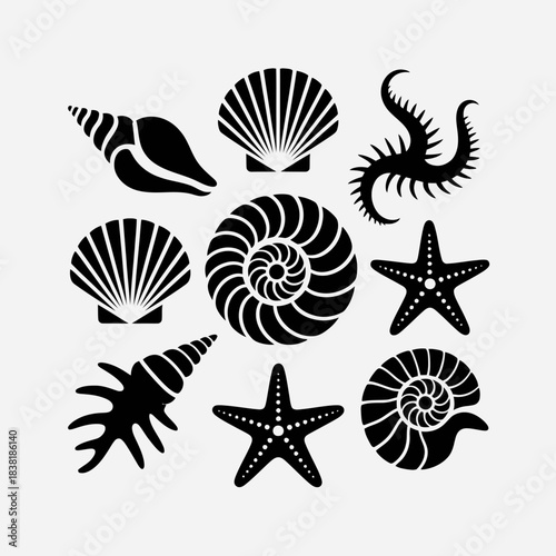 Seashell and Starfish Silhouette Set – Marine Ocean Beach Vector Collection