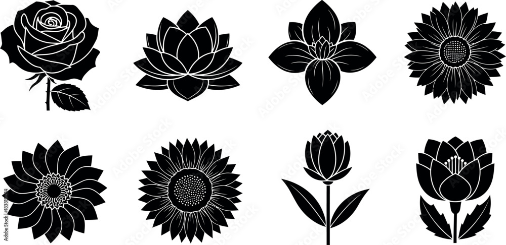 Obraz premium Collection of detailed black and white floral illustrations in a vintage engraved style
