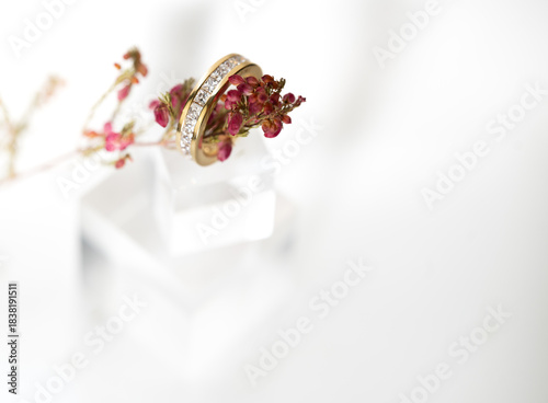 A ring presented on the transparent blocks with a light negative space