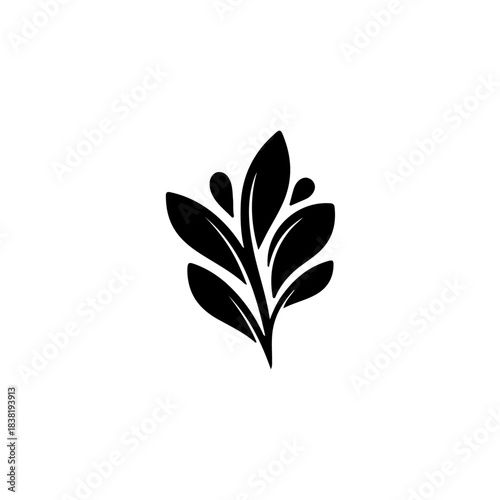 Abstract minimalist black plant leaves and drops silhouette on white background, elegant natural design element vector isolated on transparent background