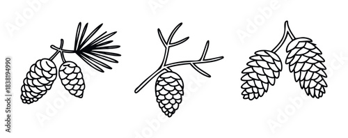 Collection of pine cones on branches with needles, representing nature and woodland elements suitable for seasonal decor and organic themes.