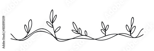 Delicate black vine with organic leaves creates a flowing border, perfect for embellishing invitations, greeting cards, or social media posts with a touch of natural elegance and botanical