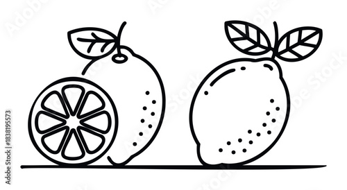 Fresh lemon icons for healthy lifestyle branding and natural food promotions, perfect for websites and organic product packaging design with a vibrant citrus theme