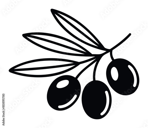 Simple silhouette of an olive branch with three olives and leaves, suitable for organic food branding and Mediterranean cuisine promotion.