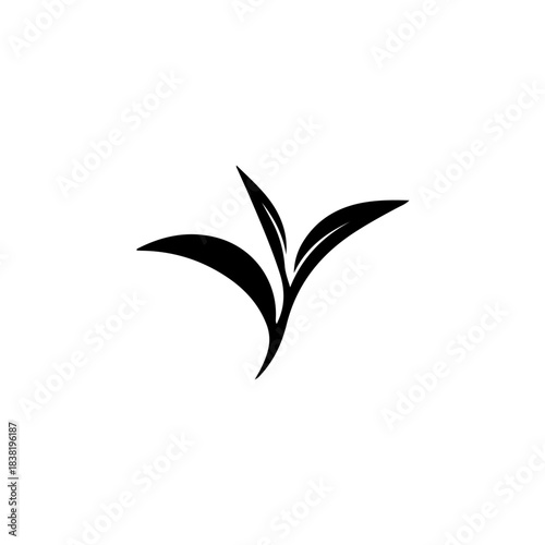 Elegant black silhouette of three fresh green tea leaves graphic illustration
