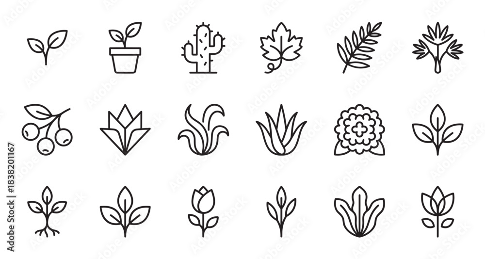 Fototapeta premium Set of plant and flower line icons featuring various botanical elements like leaves, sprouts, cactus, and herbs in a minimalist, clean, and modern outline vector illustration