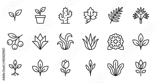 Set of plant and flower line icons featuring various botanical elements like leaves, sprouts, cactus, and herbs in a minimalist, clean, and modern outline vector illustration