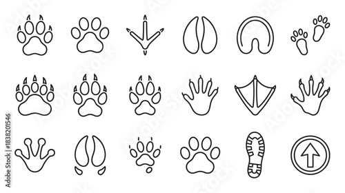 Diverse collection of animal footprint icons including paw prints, hooves, and bird talons alongside a human boot print, all rendered in a clean black and white line art style illustration