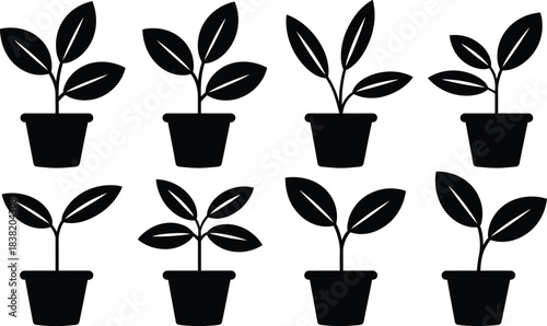 Minimal potted plant icon set, black silhouette leaf houseplant vector collection for branding, web design, home decor, print templates use