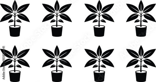 Minimal potted plant icons set, black silhouette indoor houseplant vector collection for branding, home decor, web design, prints digital use