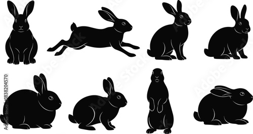 Black Silhouettes of Rabbits in Various Poses Keywords: rabbit, bunny, hare, animal, wildlife, silhouette, black, white background