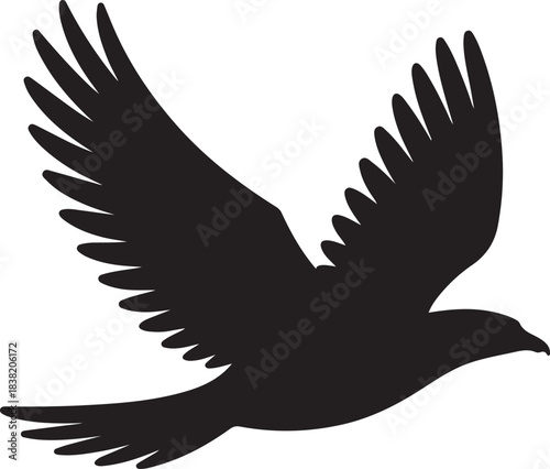 Silhouette Bird in Flight Icon with Extended Wings and Spread Tail Feathers Vector Illustration