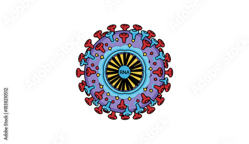 Vector Illustration of Detailed Structure of RNA (Ribonucleic Acid) Virus