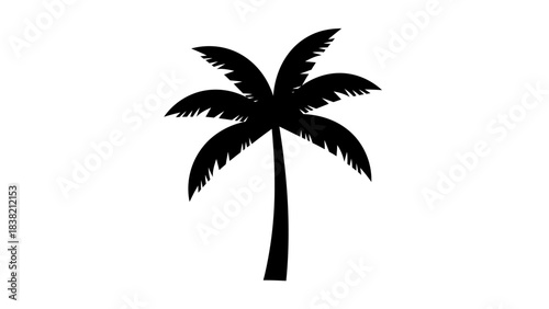 Black silhouette of a tropical palm tree with fanned leaves on a white background.