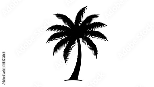 A striking black silhouette of a tropical palm tree standing tall against a clean white background, symbolizing summer and vacation.