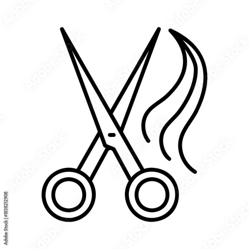 Scissors
