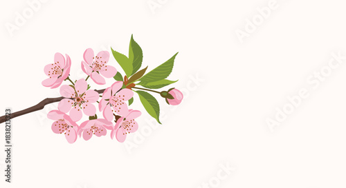 A delicate branch of blooming pink sakura flowers with green leaves positioned in the corner on a light pink background.