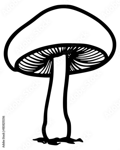 A simple outline mushroom with a large cap
