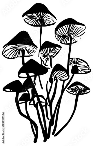 Mushrooms grow in bunches