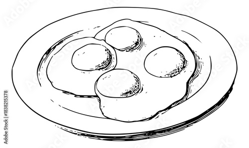 Fried eggs on plate sketch