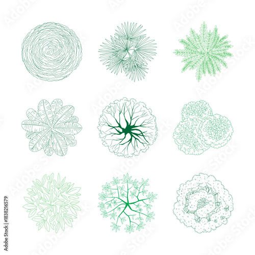 Outlined Tree Plan Top View Set