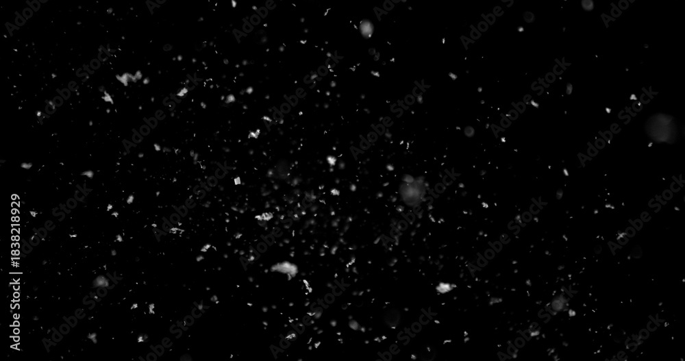 Obraz premium Falling snowflakes isolated on black background. Winter snow overlay texture for VFX, compositing, motion graphics and atmospheric effects