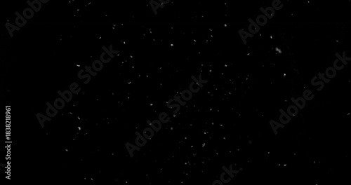 Billede på lærred Falling snowflakes isolated on black background