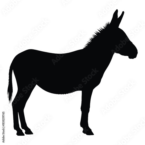 A striking silhouette of a donkey showcasing its distinct form and features