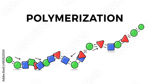 Illustration of the Polymerization Process: Different Monomers Form a Chemical Polymer Chain