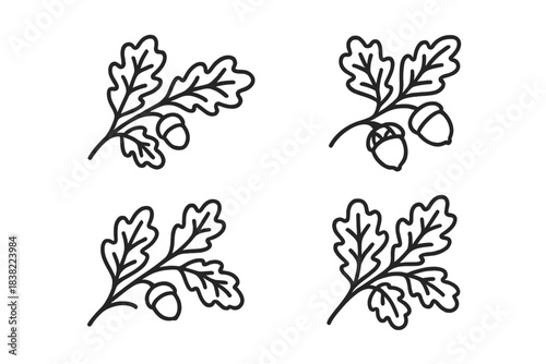 Simple outline oak tree branches bearing characteristic leaves and acorns