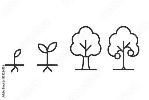 Minimalist outline showing the growth stages of a tree from sprout to maturity