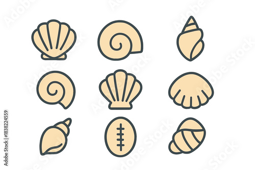 Stylized collection of nine marine seashells and spiral shells in beige and dark outline