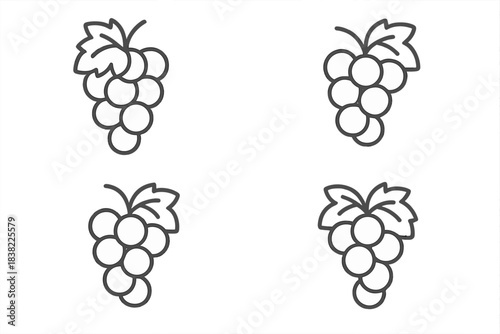 Collection of four outline icons showing ripe grape clusters with stems and leaves