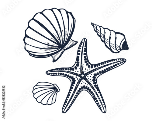 A black and white sketch featuring a variety of seashells and a starfish, presented in a vintage illustrative style
