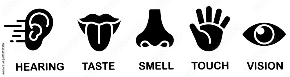 Obraz premium human five senses icon set