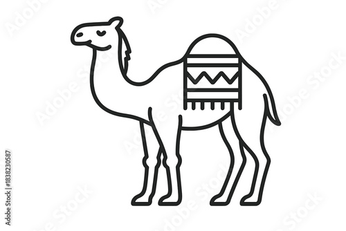 Single hump dromedary camel standing profile with decorative saddle blanket
