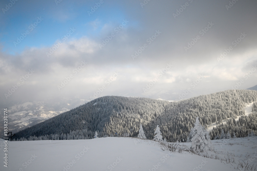 Obraz premium Winter mountain landscape featuring snow covered pine trees
