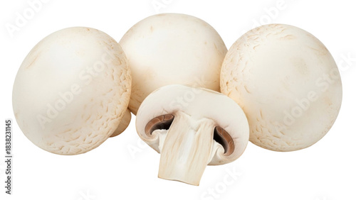 Isolated agaricus bisporus mushrooms, nutritious edible fungi for vegan cooking, healthy eating