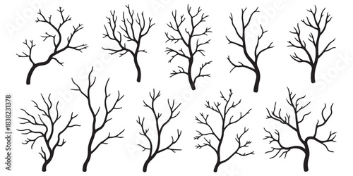 Set of Hand Drawn Bare Tree Branch Silhouettes and Winter Twigs Isolated on White Background for Minimalist Design and Vector Illustration