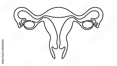 Minimalist female reproductive system icon, uterus and ovaries line drawing, medical anatomy vector, educational health symbol, clean design, black and white illustration, gynecology graphic element