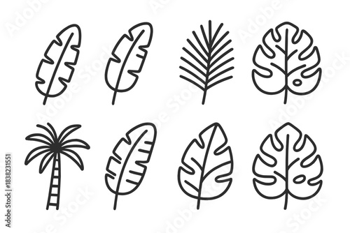 Outline icons of various tropical plant leaves and palm tree silhouettes