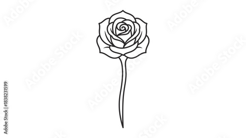Black and white rose line drawing, minimalist floral illustration, elegant bloom icon, long stem vector, clean contour design, romantic botanical symbol, isolated on white background