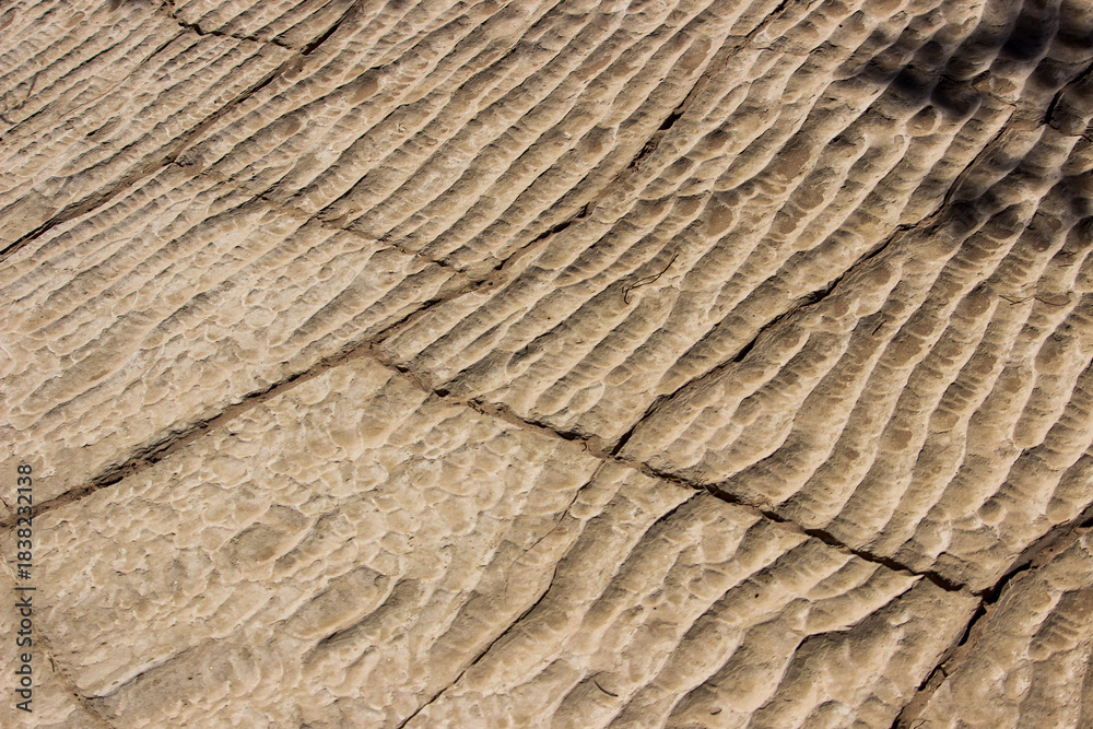 Fototapeta premium Dried up ripples cut through by cracks