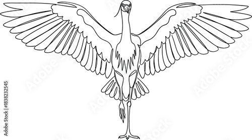 Minimalist continuous line art vector of a flying Great Heron or Crane, wings fully spread, symbolizing freedom, nature, and elegance on a clean white background