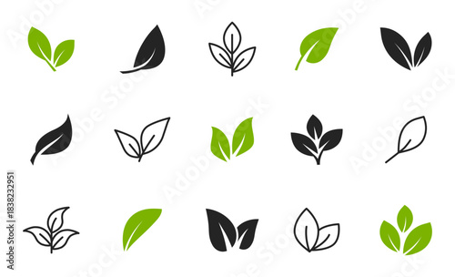 Set of green leaf icons. Leaves of trees and plants. Leaves icon. Collection green leaf. Elements design for natural, eco, bio, vegan labels. Vector illustration.