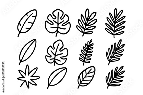 Twelve tropical and jungle leaf outline icons in doodle style