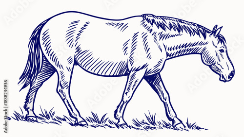 A beautifully illustrated horse walking gracefully across a grassy field.