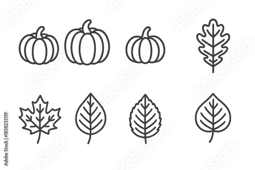 Outline icons set of pumpkins and various autumn leaves for seasonal design