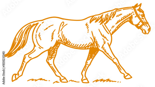 A beautifully sketched horse in motion, showcasing its grace and strength.